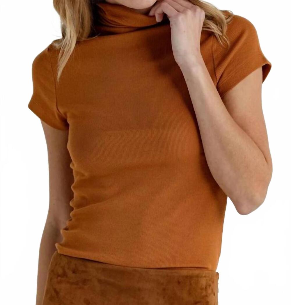 NEW SUNDAYS archer turtleneck tee in hearthwood